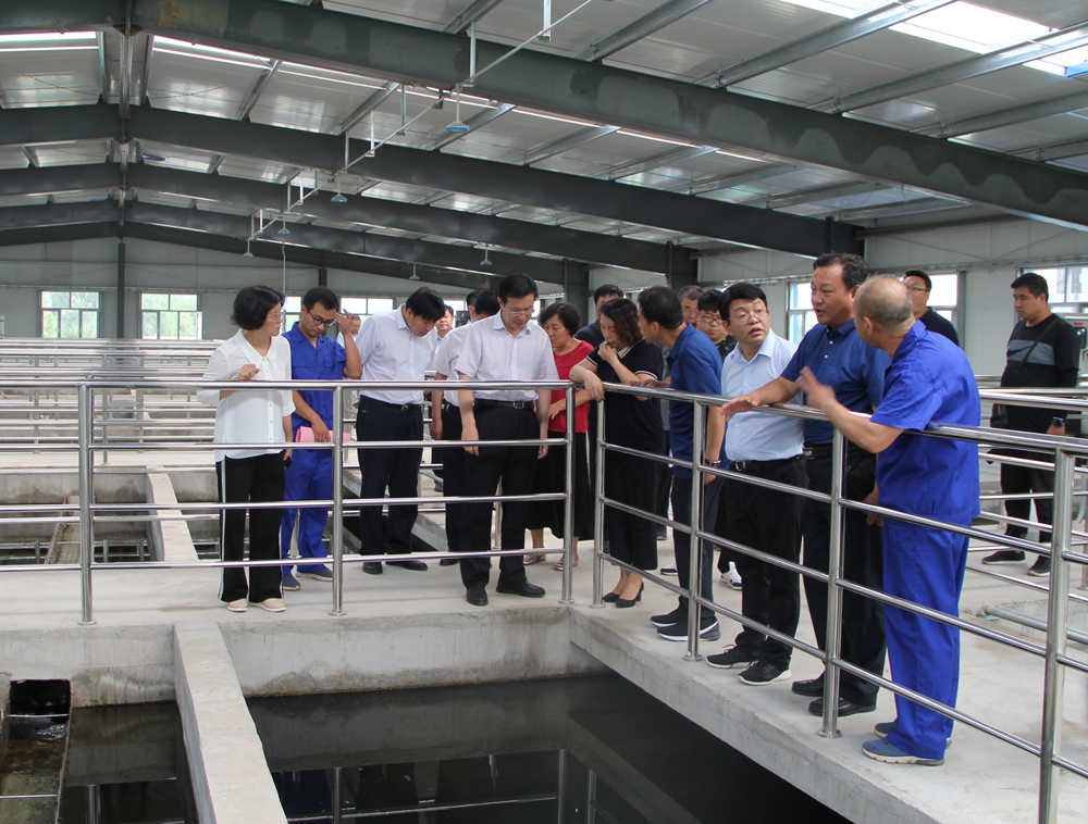 1591606962707297.jpg 1565677970719001.jpg