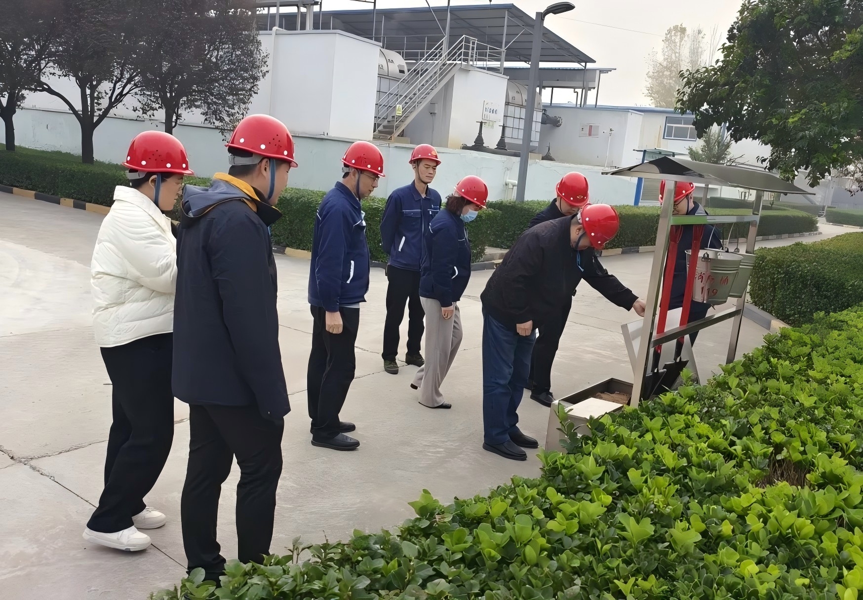 1733712373998071.jpg 640 (1).jpg